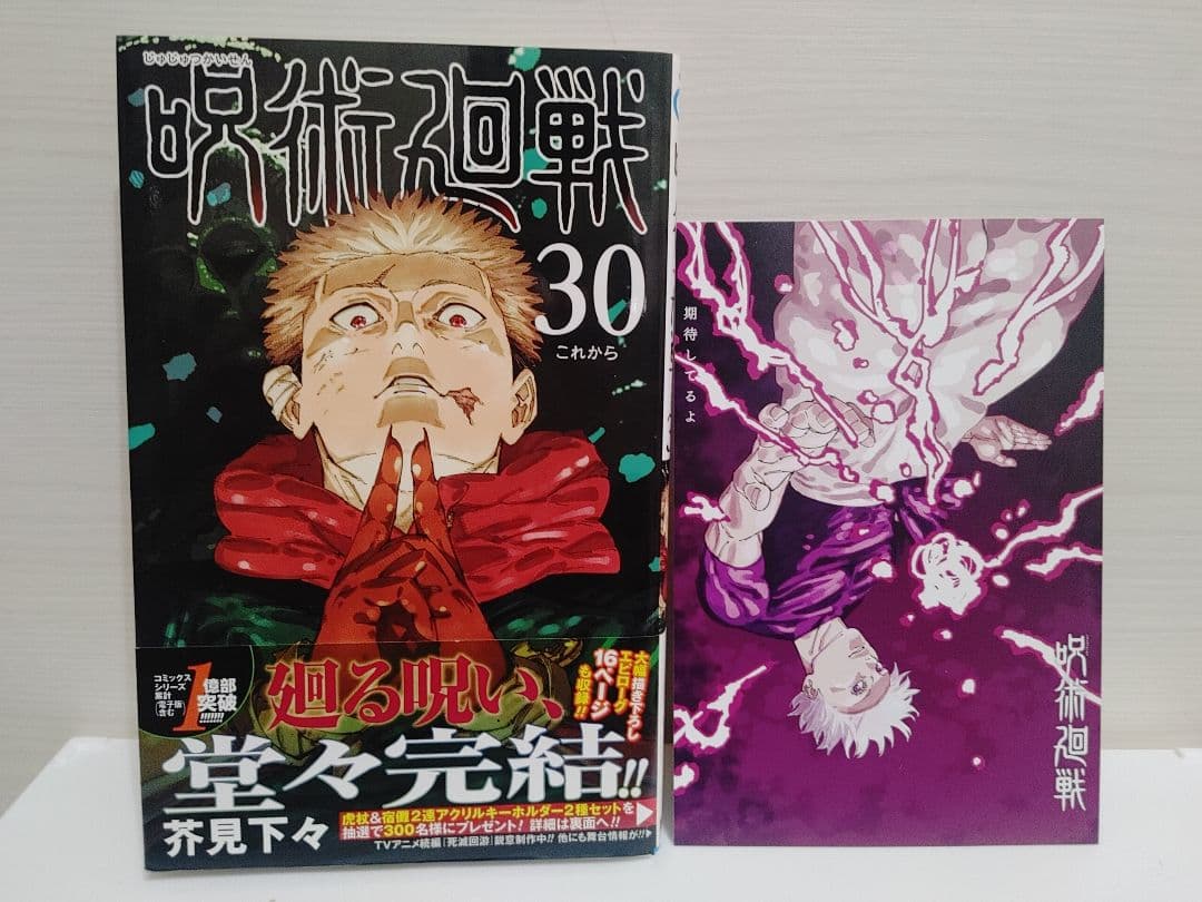 呪術廻戦 特装版＆0巻あり全巻セット＋小説＋劇場版パンフ＆0.5巻＋ファンブック