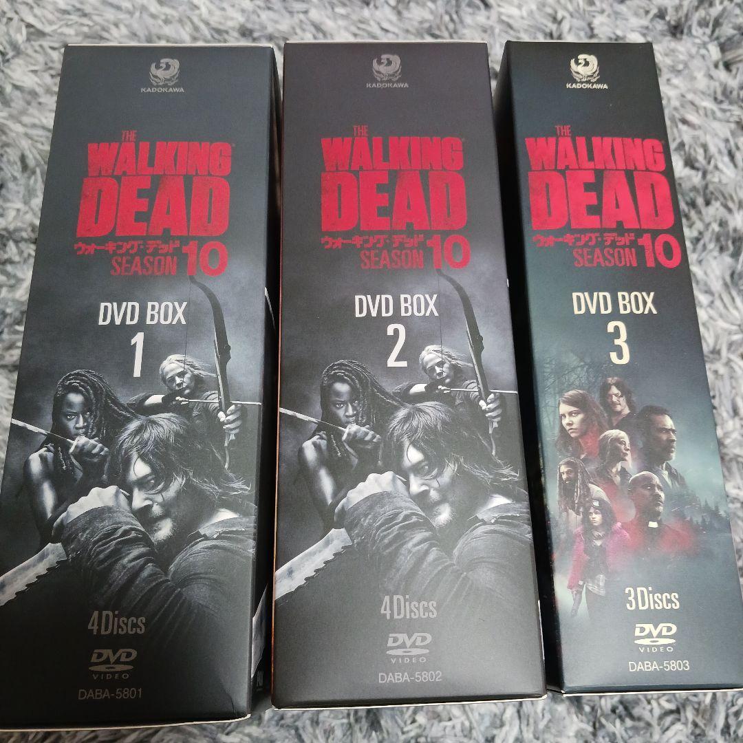 THE WALKING DEAD SEASON 10 DVD 全11巻