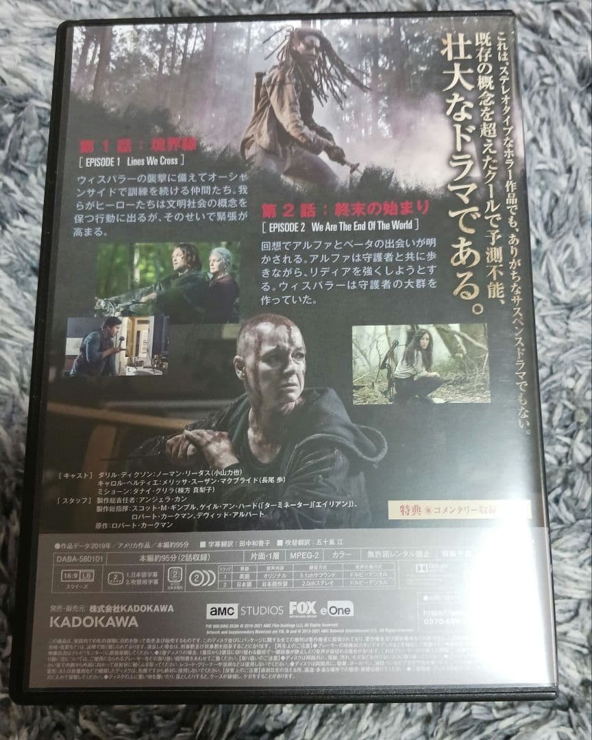 THE WALKING DEAD SEASON 10 DVD 全11巻