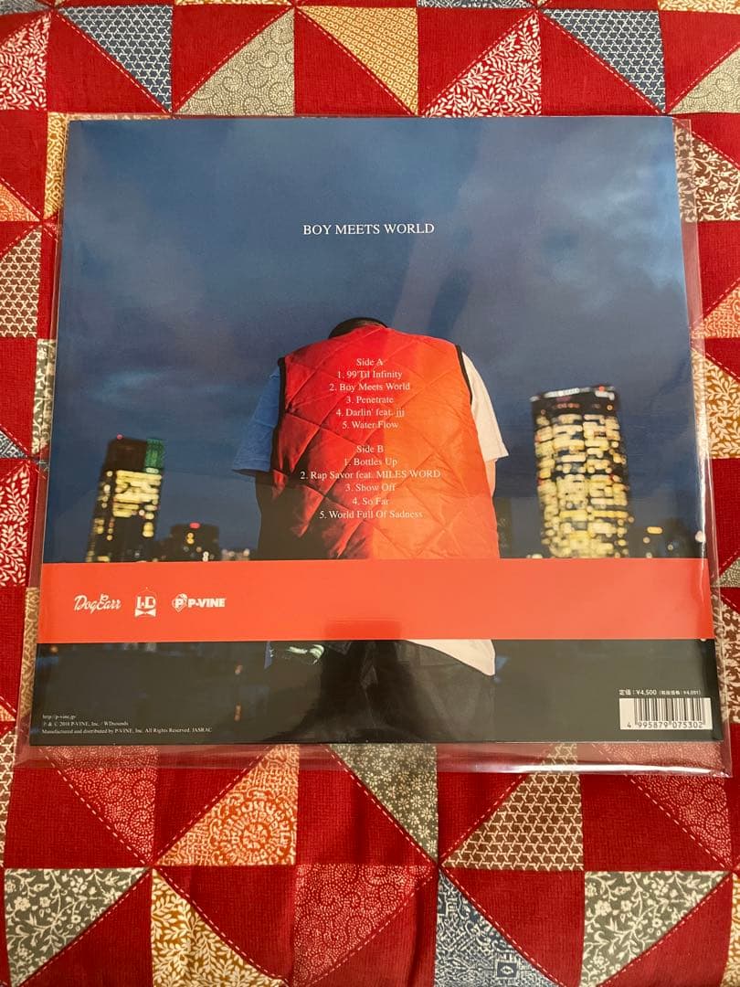 仙人掌 BOY MEETS WORLD レコード