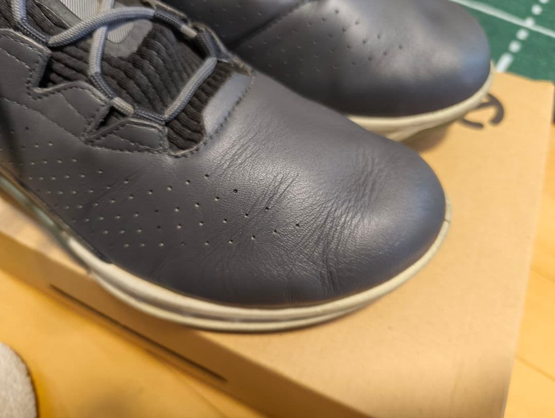 ECCO GOLF バイオム C4 ゴアテックスゴルフシューズ