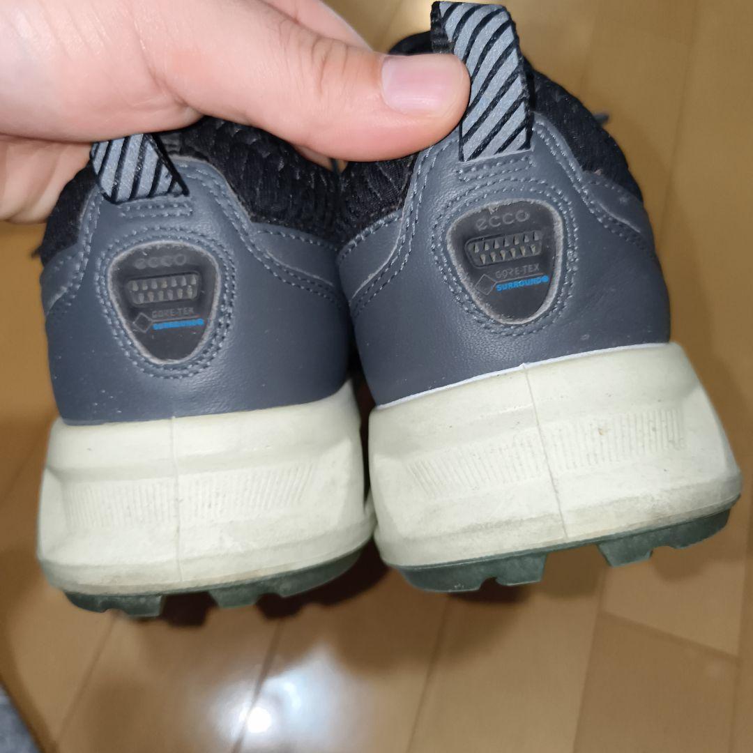 ECCO GOLF バイオム C4 ゴアテックスゴルフシューズ