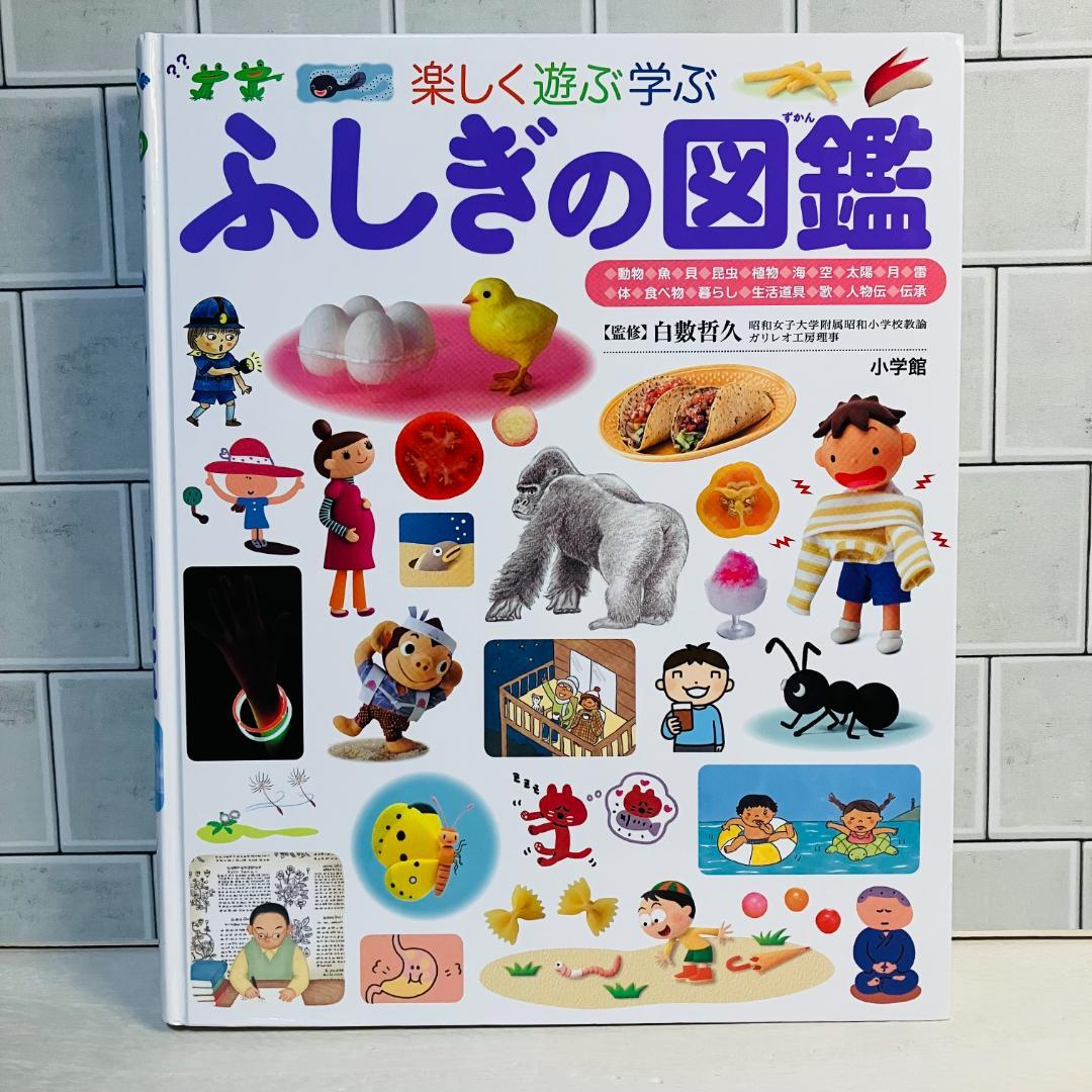 【定番の図鑑】小学館の図鑑NEO7冊セット＋プレNEO3冊セット ふしぎの図鑑他
