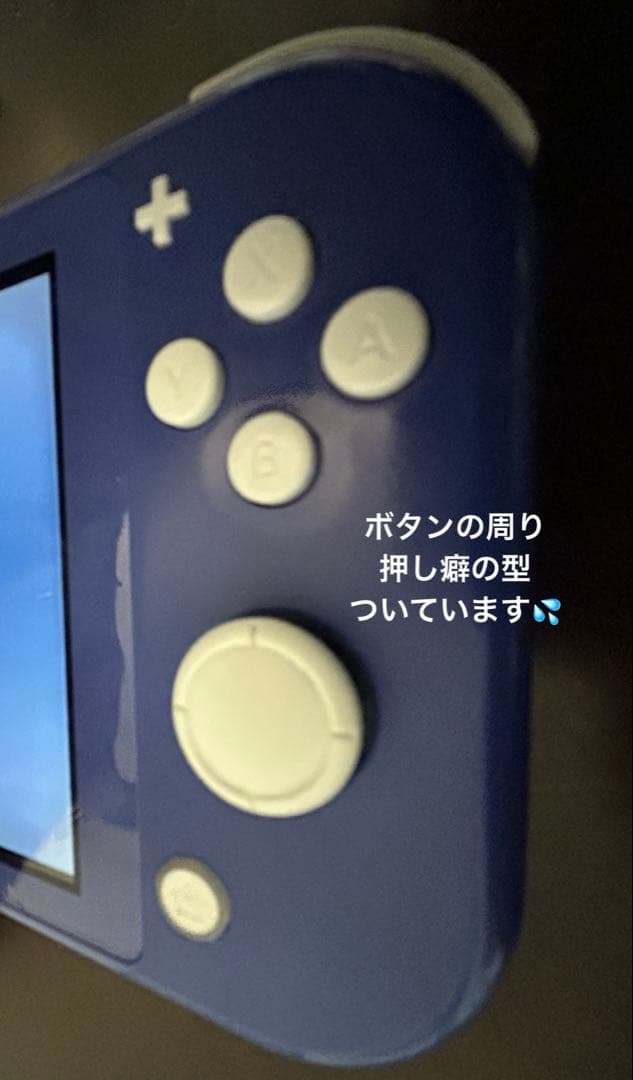 あつまれ どうぶつの森➕任天堂スイッチライト(ブルー)☆本体のみ☆