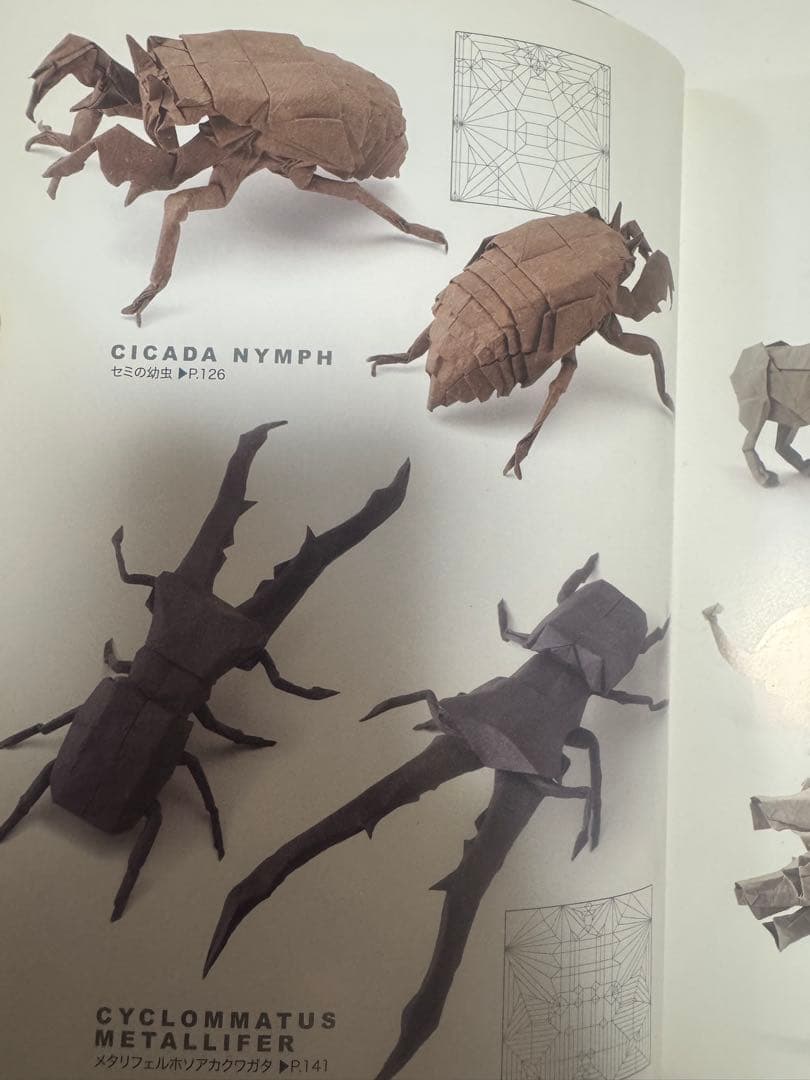 神谷哲史作品集 2冊セット