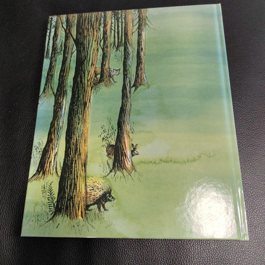 森のおくから : むかし、カナダであったほんとうのはなし