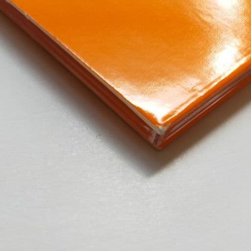 THOMAS BRINKMANN トーマス・ブリンクマン/Rosa