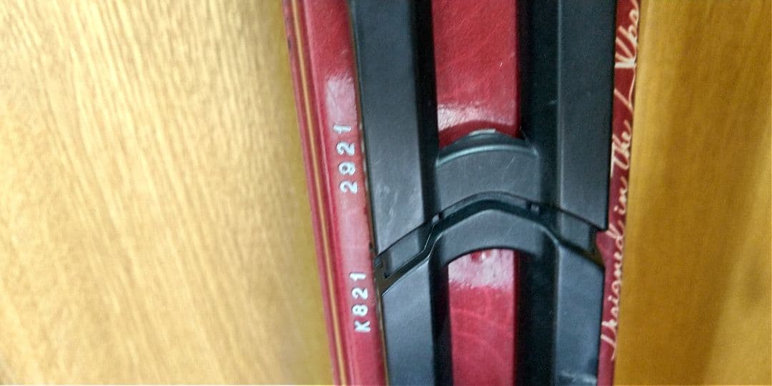 Salomon Pearl スキー 板