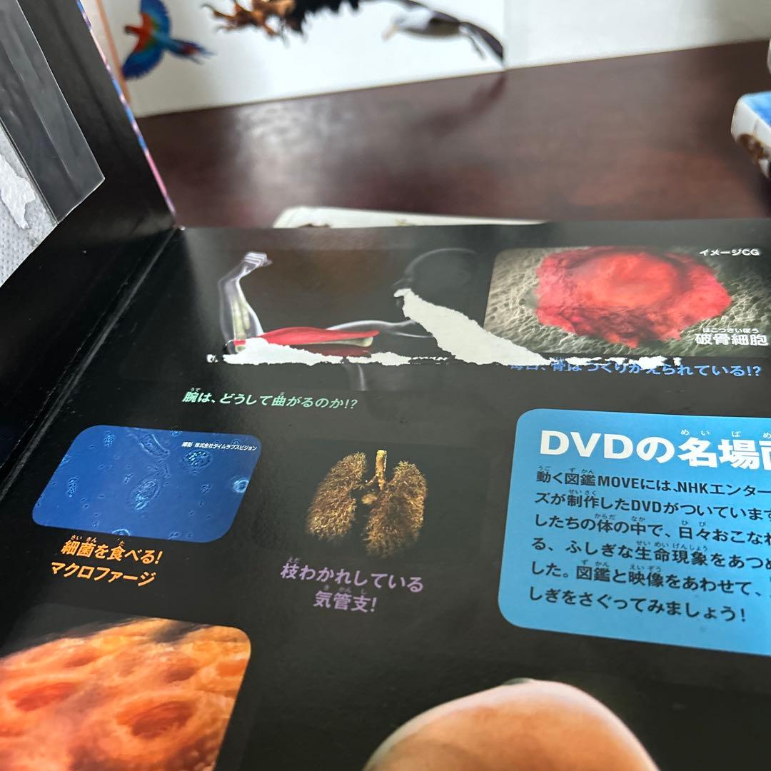 MOVEシリーズ 絵本 11冊セット