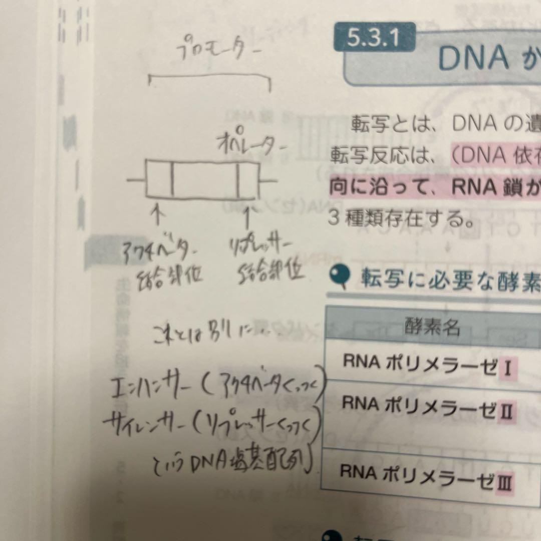 薬ゼミの要点集　9冊セット　薬学ゼミナール　改訂版　全9冊