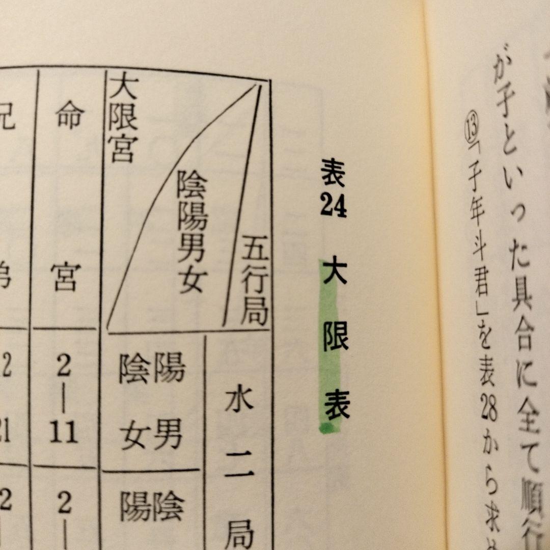 飛星紫微斗数闡秘