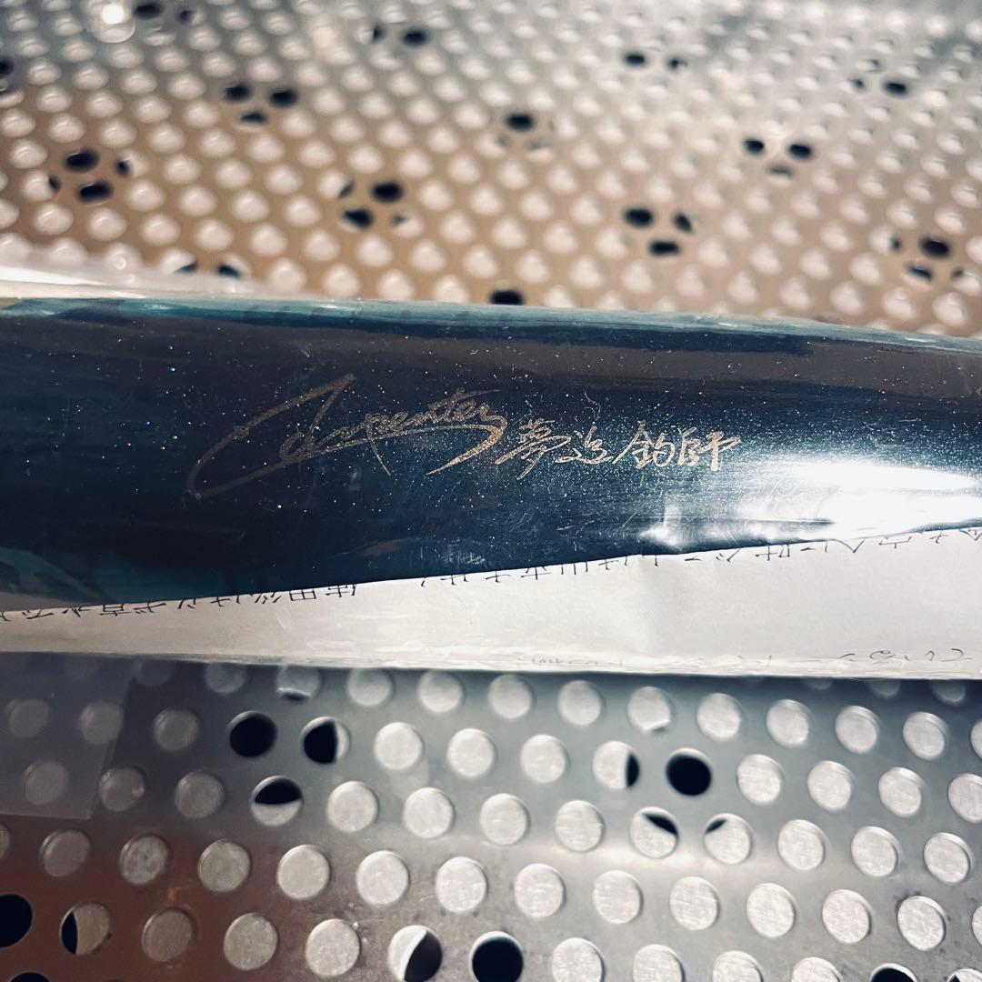 新品 カーペンター Carpenter GRM ガラム100-210 マイワシ