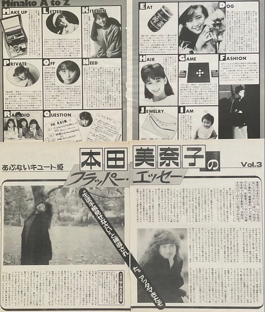 本田美奈子 切り抜き