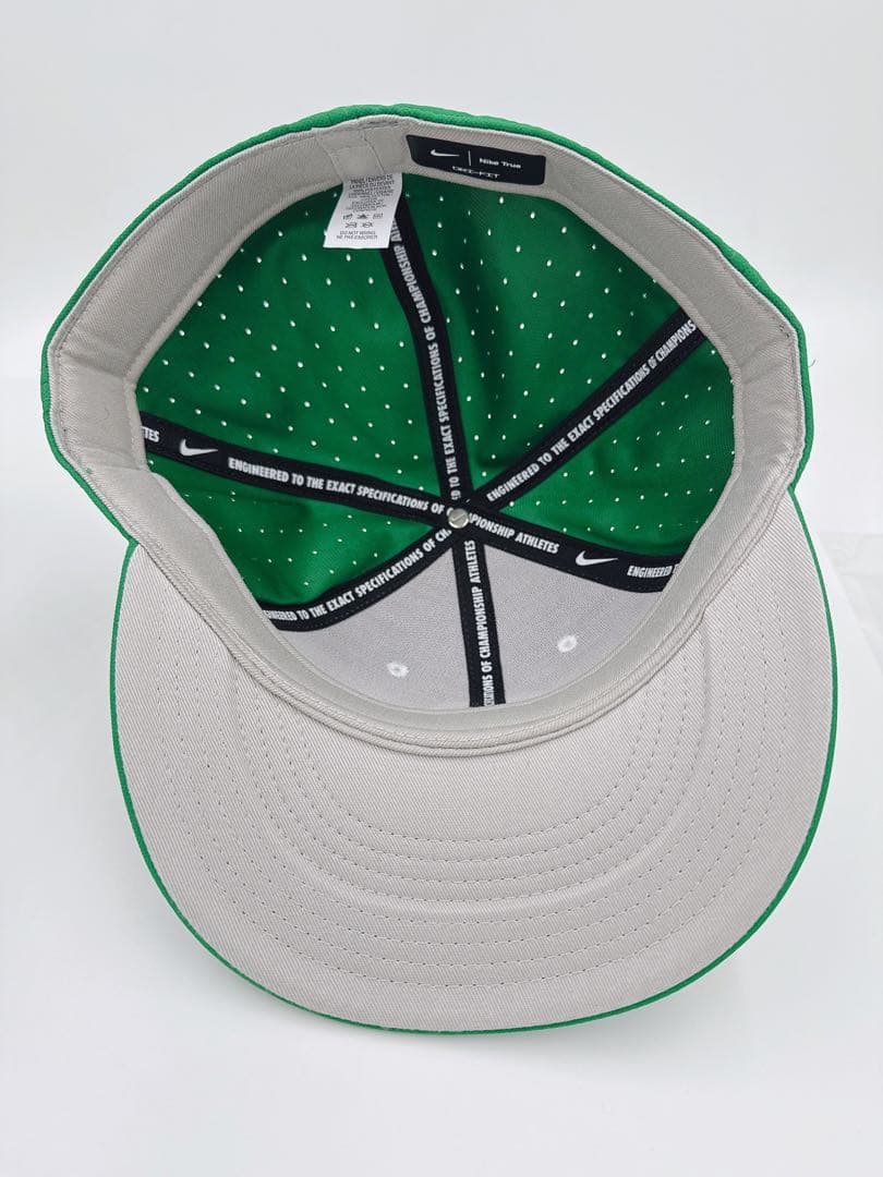 Nike ナイキ Green Michigan パフォーマンスキャップ