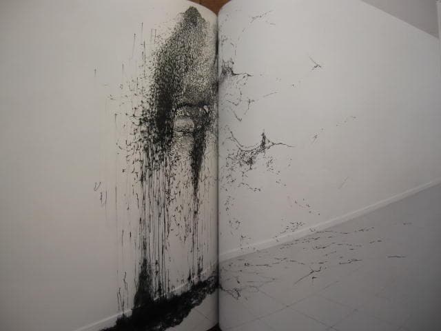 MORPHOSIS　KOHEI NAWA　名和晃平