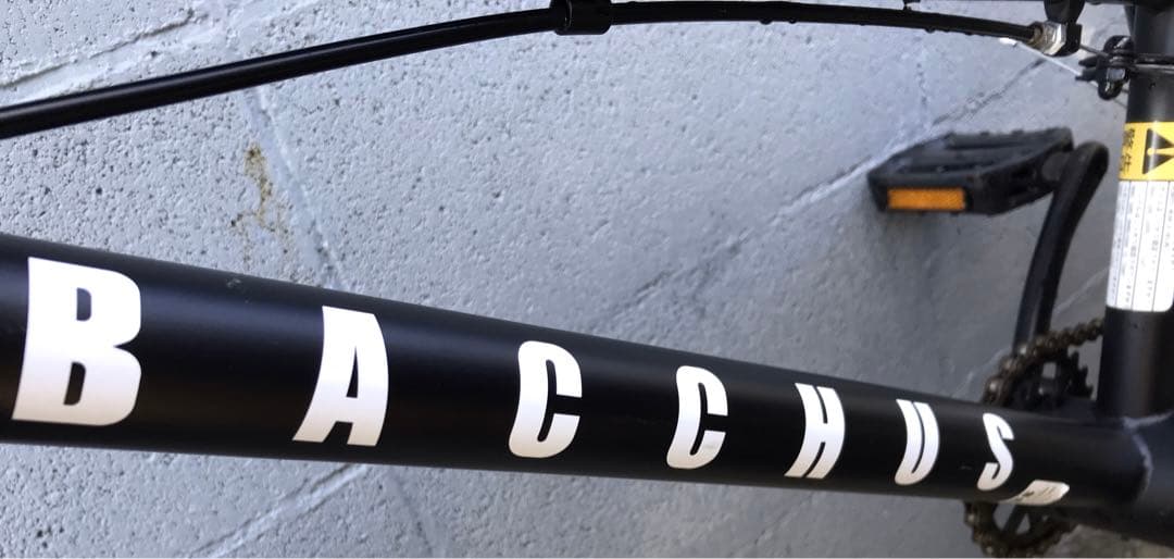 (AVASTA) BACCHUS ♡ BMX￼￼自転車