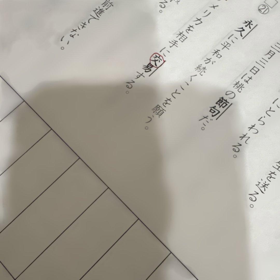 漢字ダイヤリー　売り切れ　啓明館　国語テキスト　小４～６