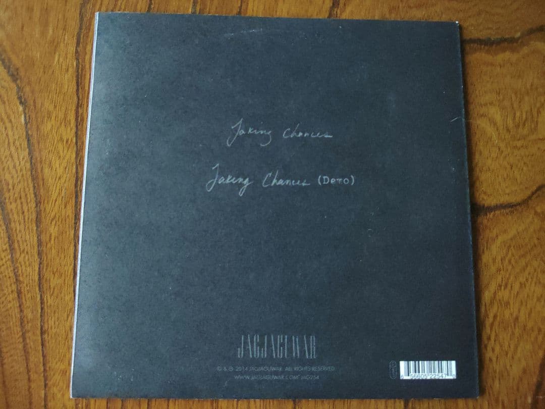 Sharon Van Etten シャロン・ヴァン・エッテン 7インチ レコード