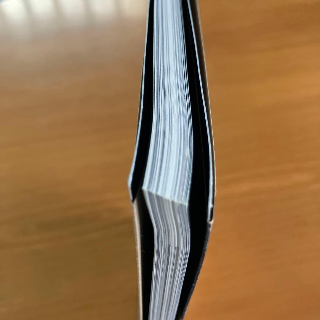 初版　バッファロー'66 ヴィジュアルブック Buffalo'66