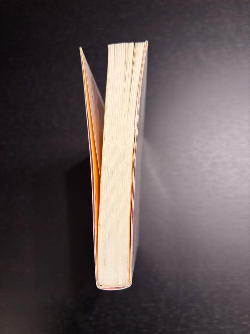 元祖 野菜スープ強健法 立石 和著