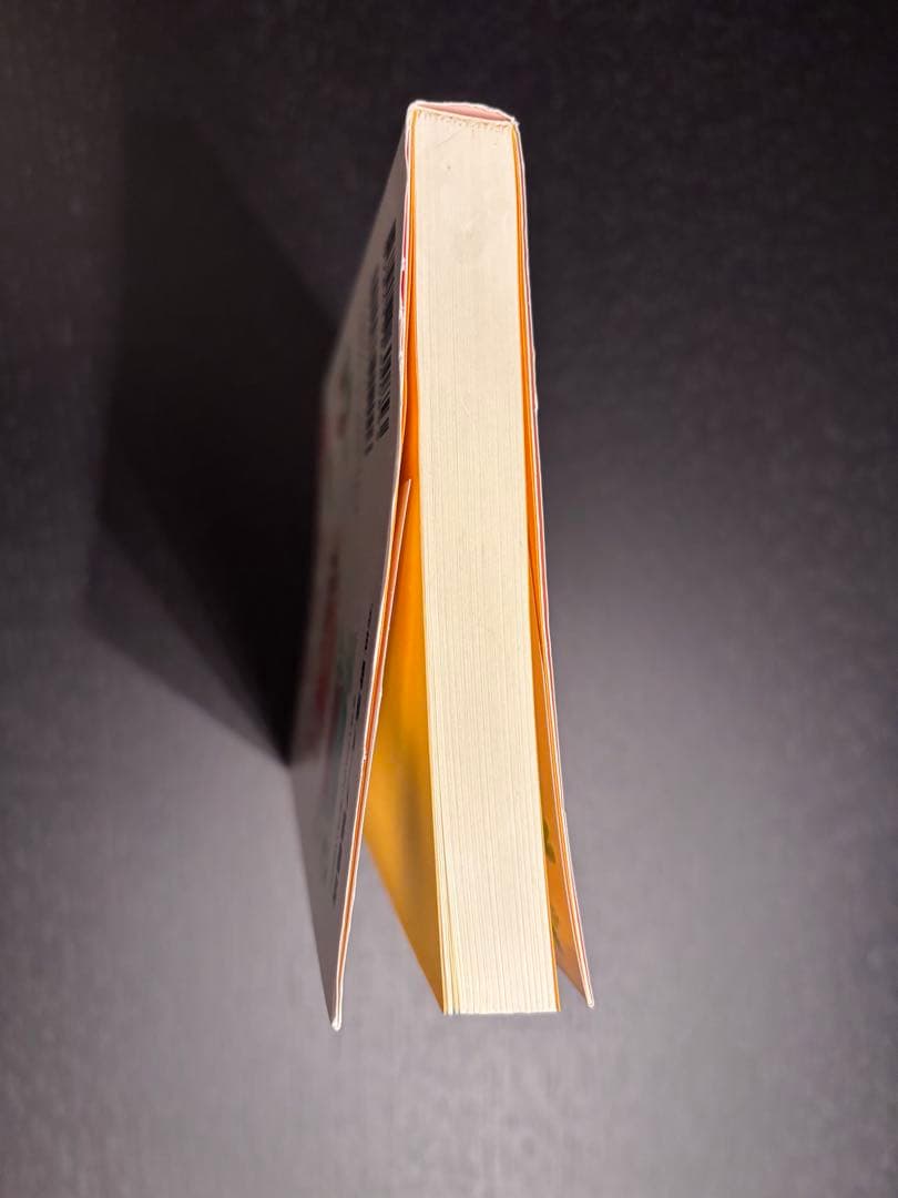 元祖 野菜スープ強健法 立石 和著