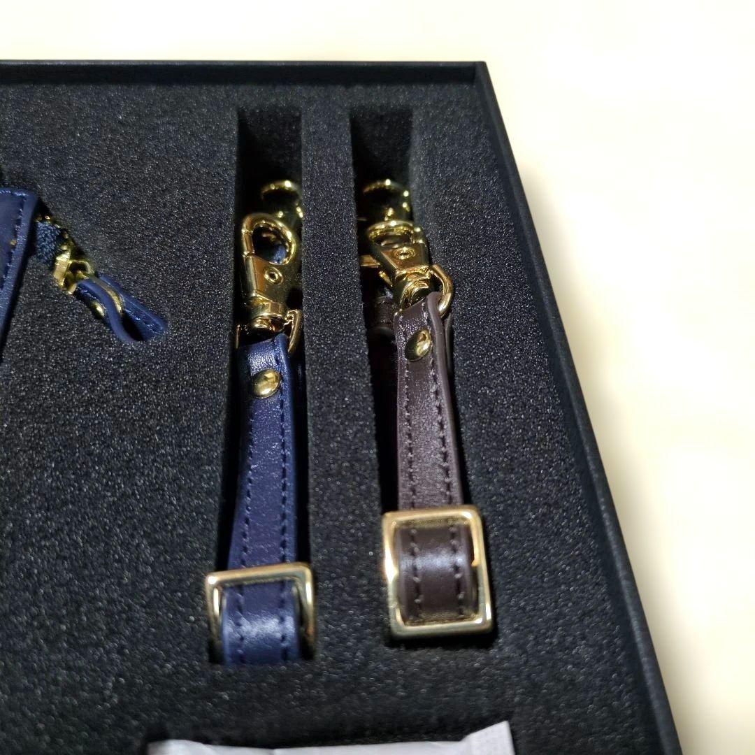 【お取り置き】ディズニーシー　ミラコスタホテル　スウィートルーム 　キーケース