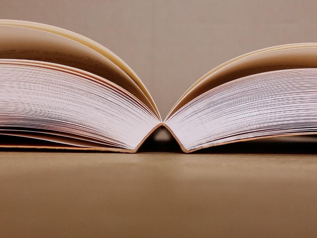 ドイツ/古本 Die Krone Verse 1-12281 ペーパーバック