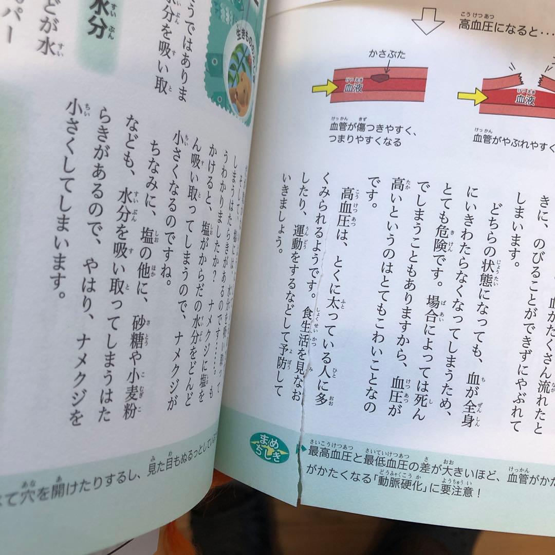 ふしぎな話 たのしい話365 5冊まとめ　算数・英語・人体・スポーツ・考える力