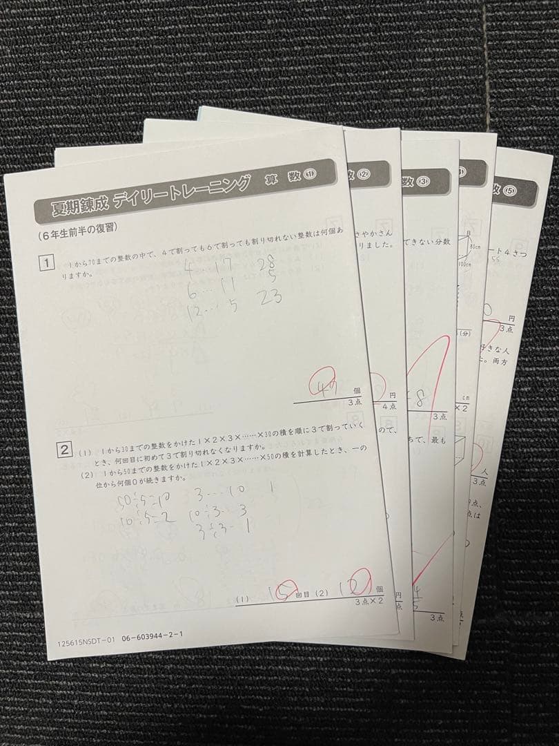 2025年度最新サピックス6年　夏期講習　志望校錬成特訓　筑駒開成コース　4科目