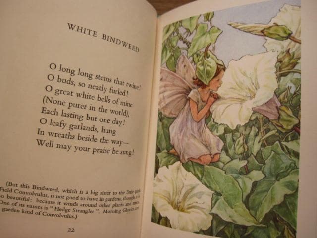 森永ハイクラウンフラワーフェアリーシリーズ全巻セットFlower Fairies