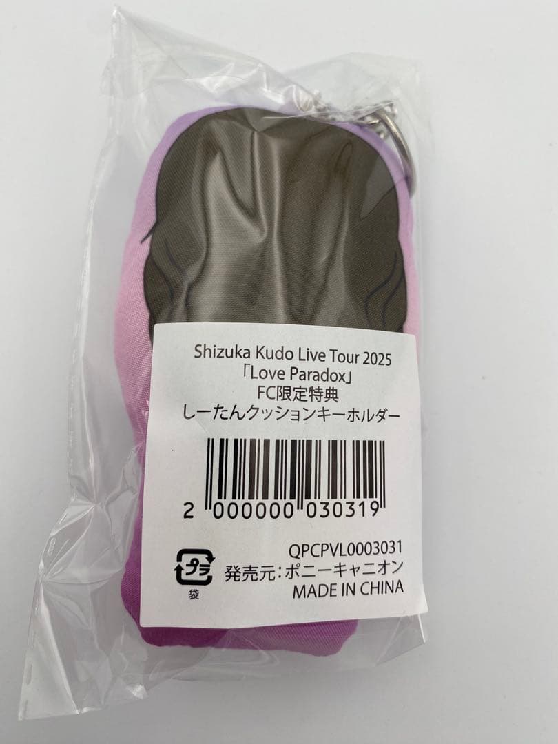 工藤静香 Love Paradox DVD 2025 完全限定盤 付属品多数