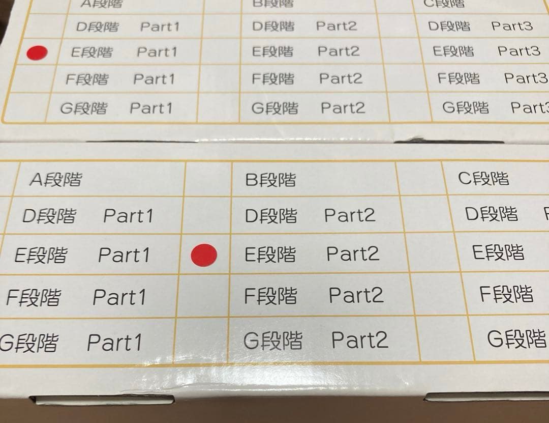 四谷学院療育55段階プログラムE段階（小2相当）
