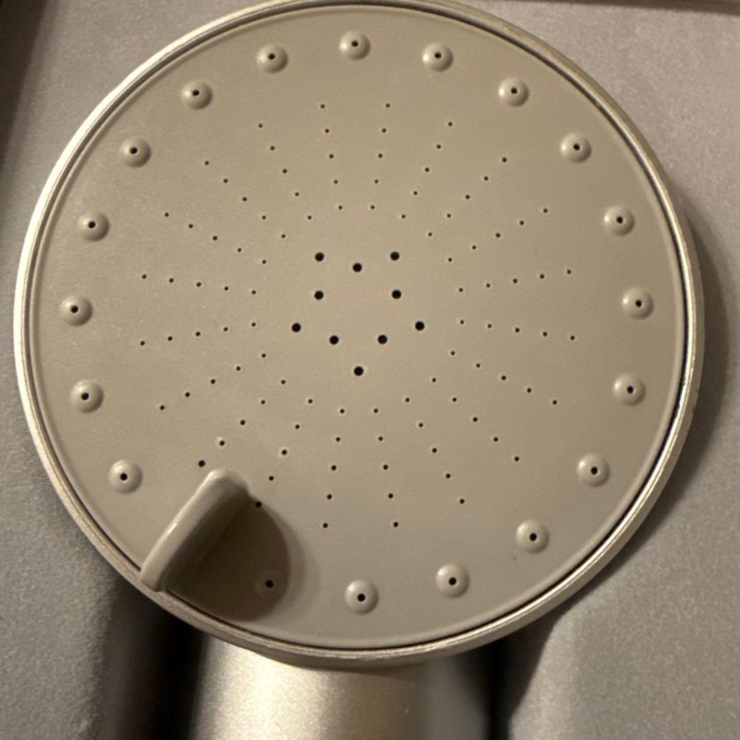 SALONIA シルバー シャワーヘッド