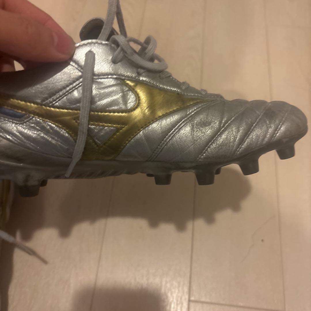 27.0 モレリアDNA