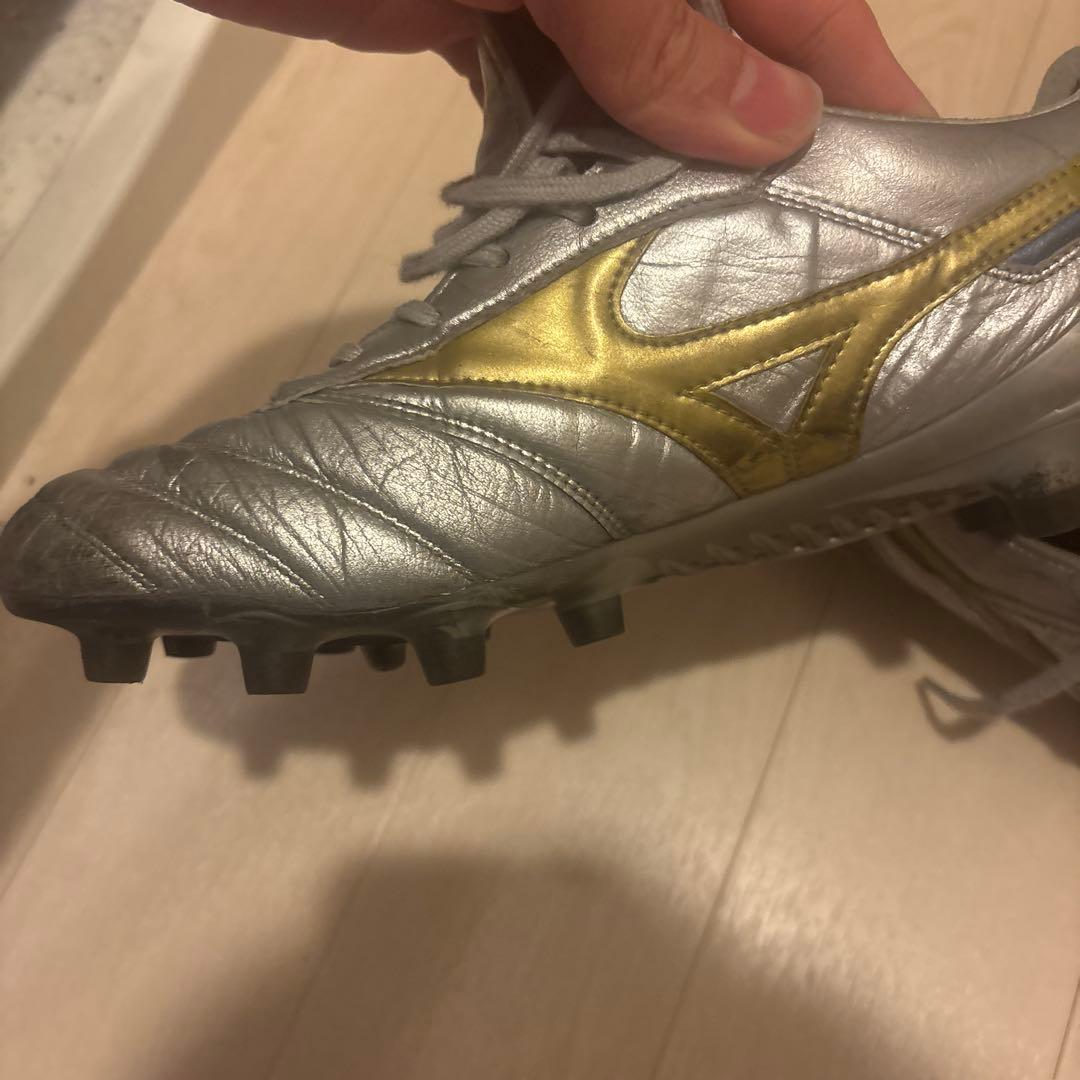 27.0 モレリアDNA