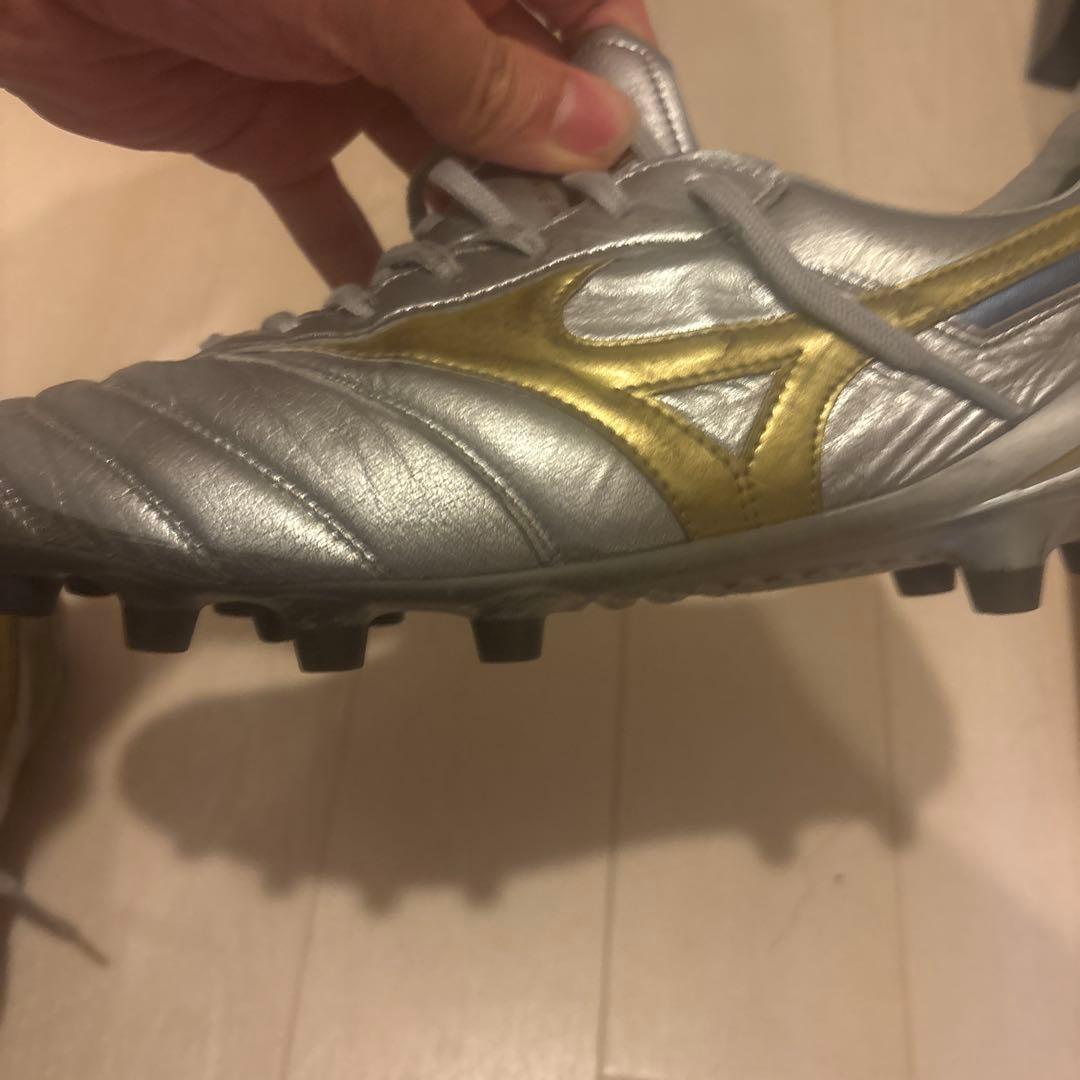 27.0 モレリアDNA