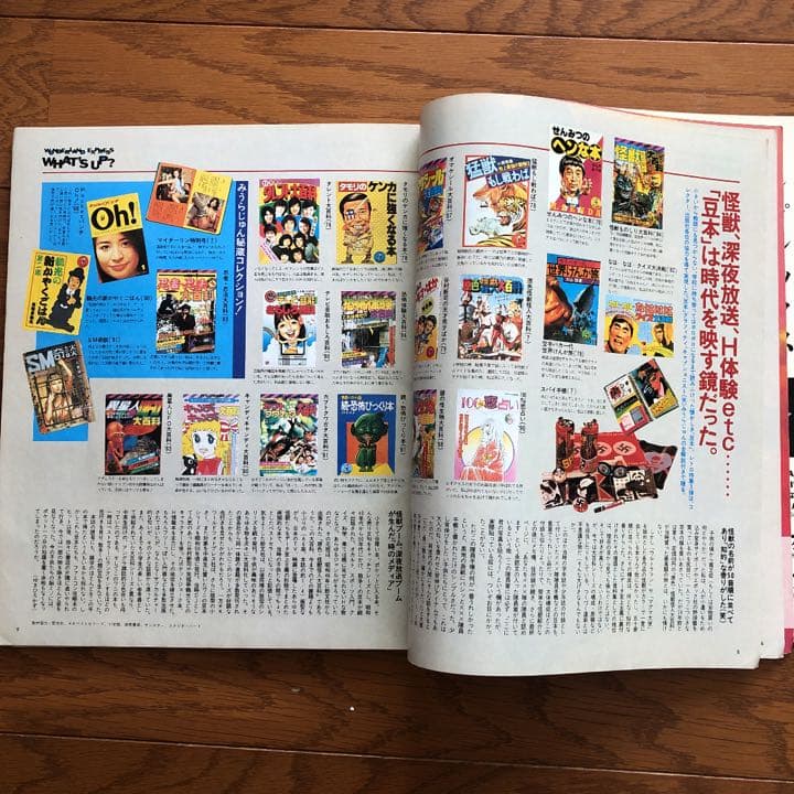 宝島 フリッパーズギター たま サブカル 1991 no.216