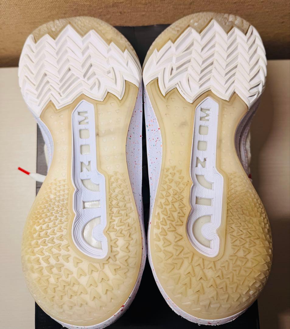 ナイキ ズーム GTカット2ルナニューイヤー リープハイ30cm