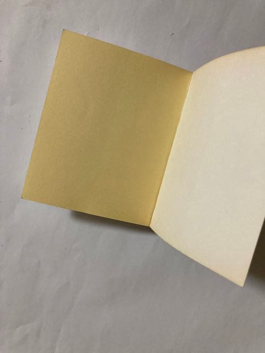 FLOWERS Mapplethorpe メイプルソープの花 洋書