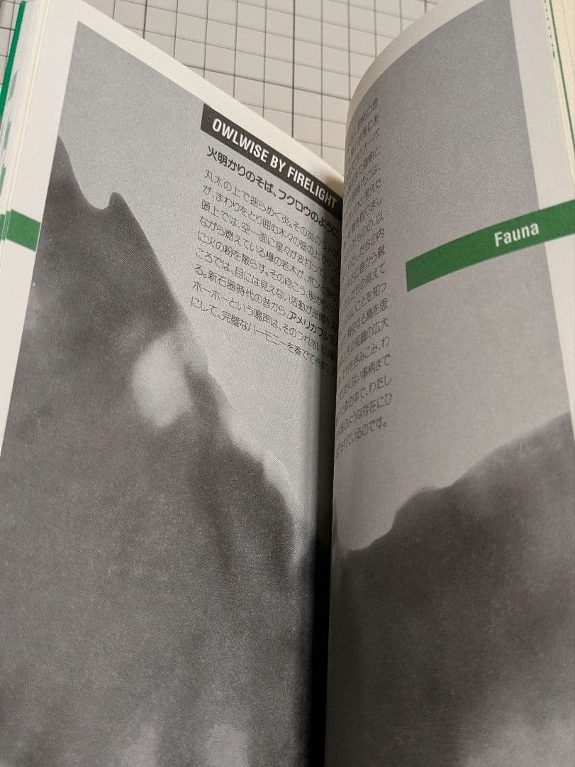 ウェルカム・トゥ・ツインピークス　ツイン・ピークスの歩き方　デヴィッド・リンチ