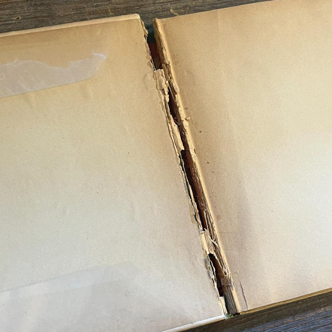 絵本・児童書 Contes pour enfants pas sages