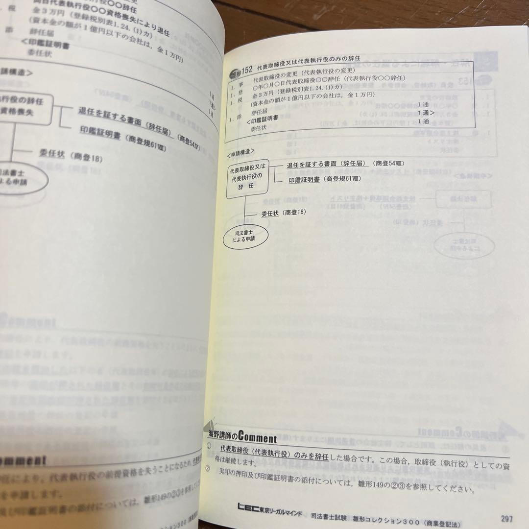 司法書士雛形コレクション300商業登記法