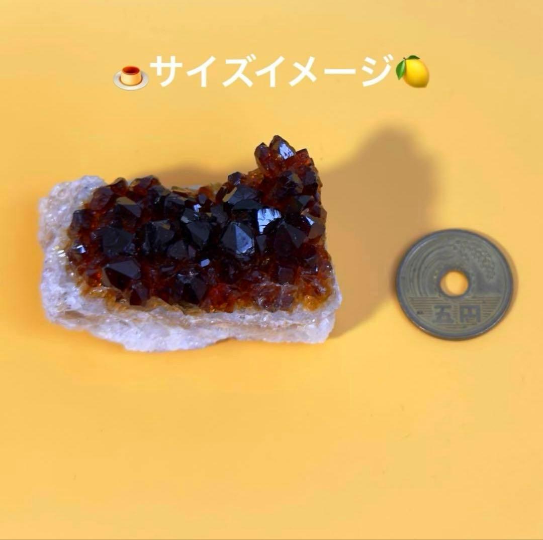 【パワーアップ版✴︎特別限定品】黄金エネルギー入りカラメルゼリーシトラスケーキ