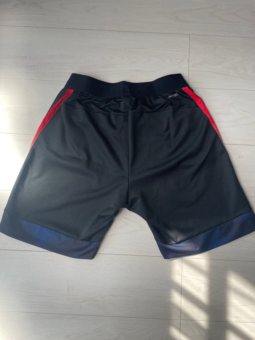 【奈良岡功大着用モデル】victor ビクター　ハーフパンツ Mサイズ