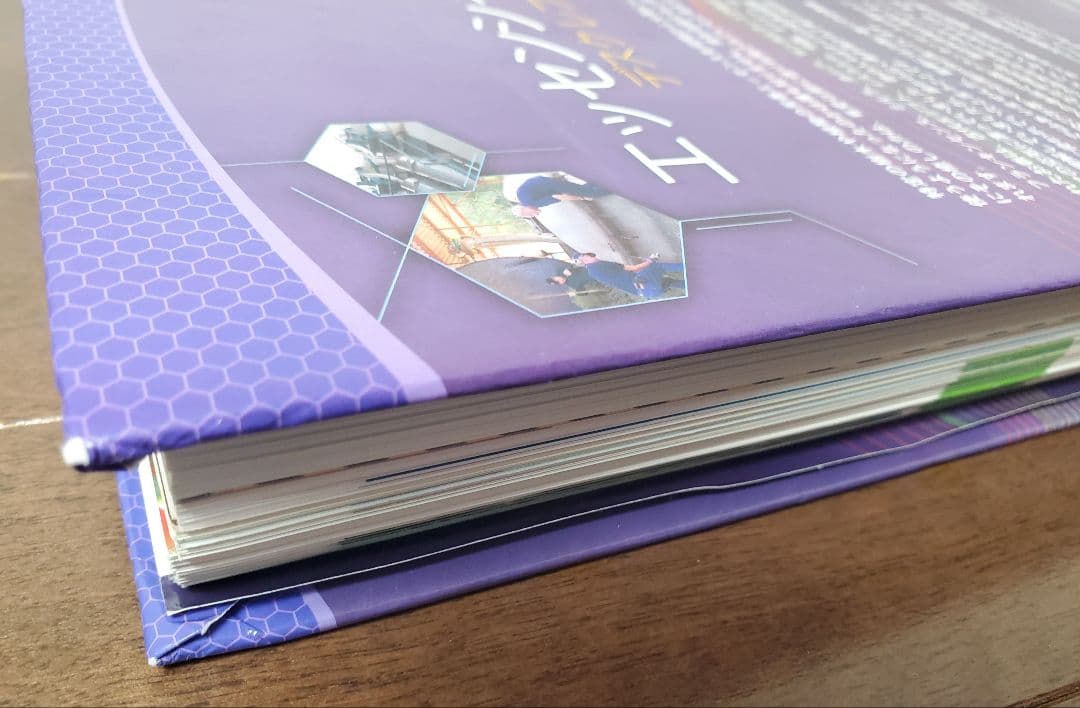 エッセンシャルオイル デスクレファレンス 第6版 ヤングリヴィング 未使用