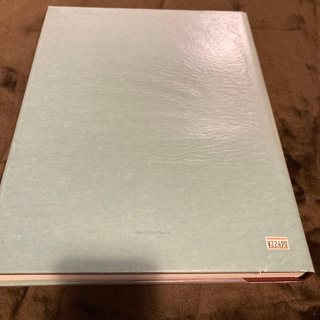 マルク・シャガール　画集本　希少　Marc Chagall