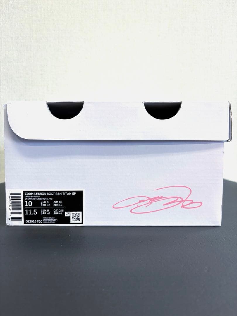 シューズ(男性用) NIKE ZOOM LEBRON NXXT GEN TITAN EP 28cm