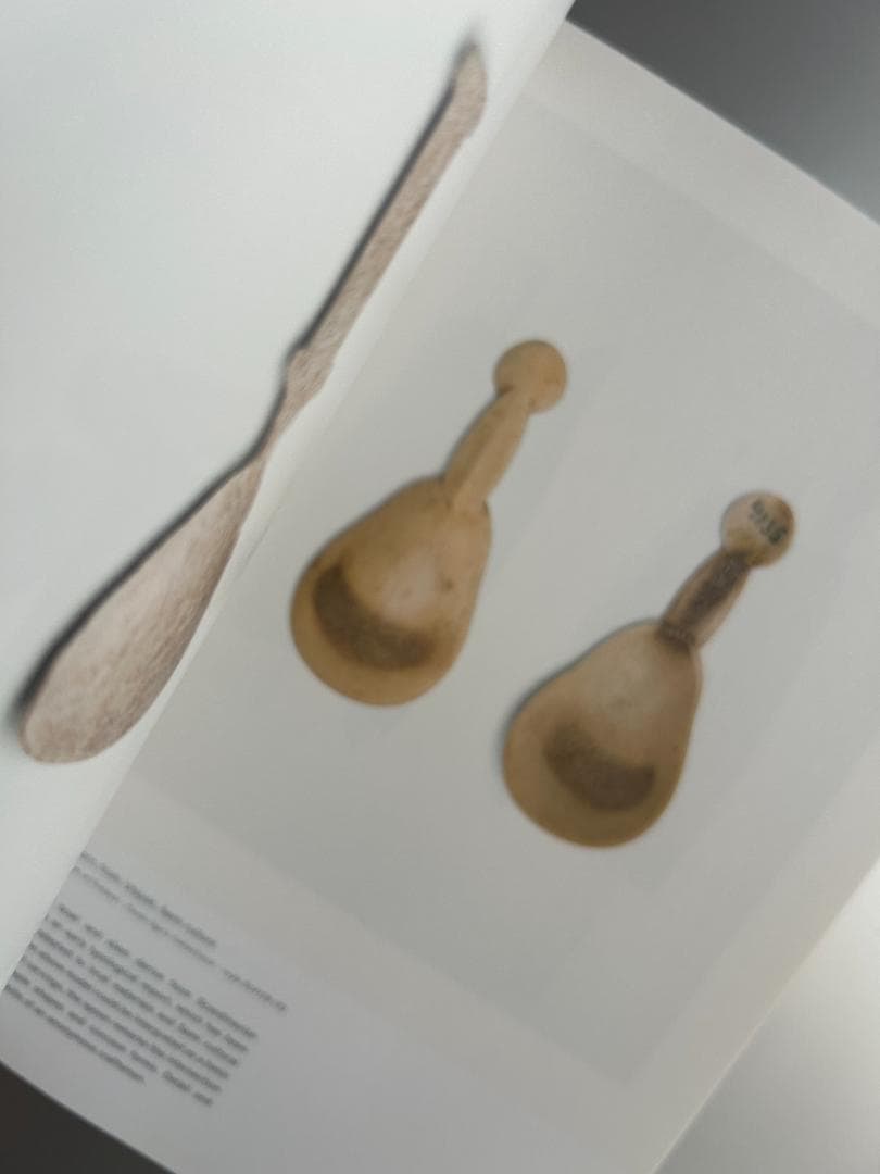 元Artek Ville Kokkonenキュレーションの展覧会図録 アアルト