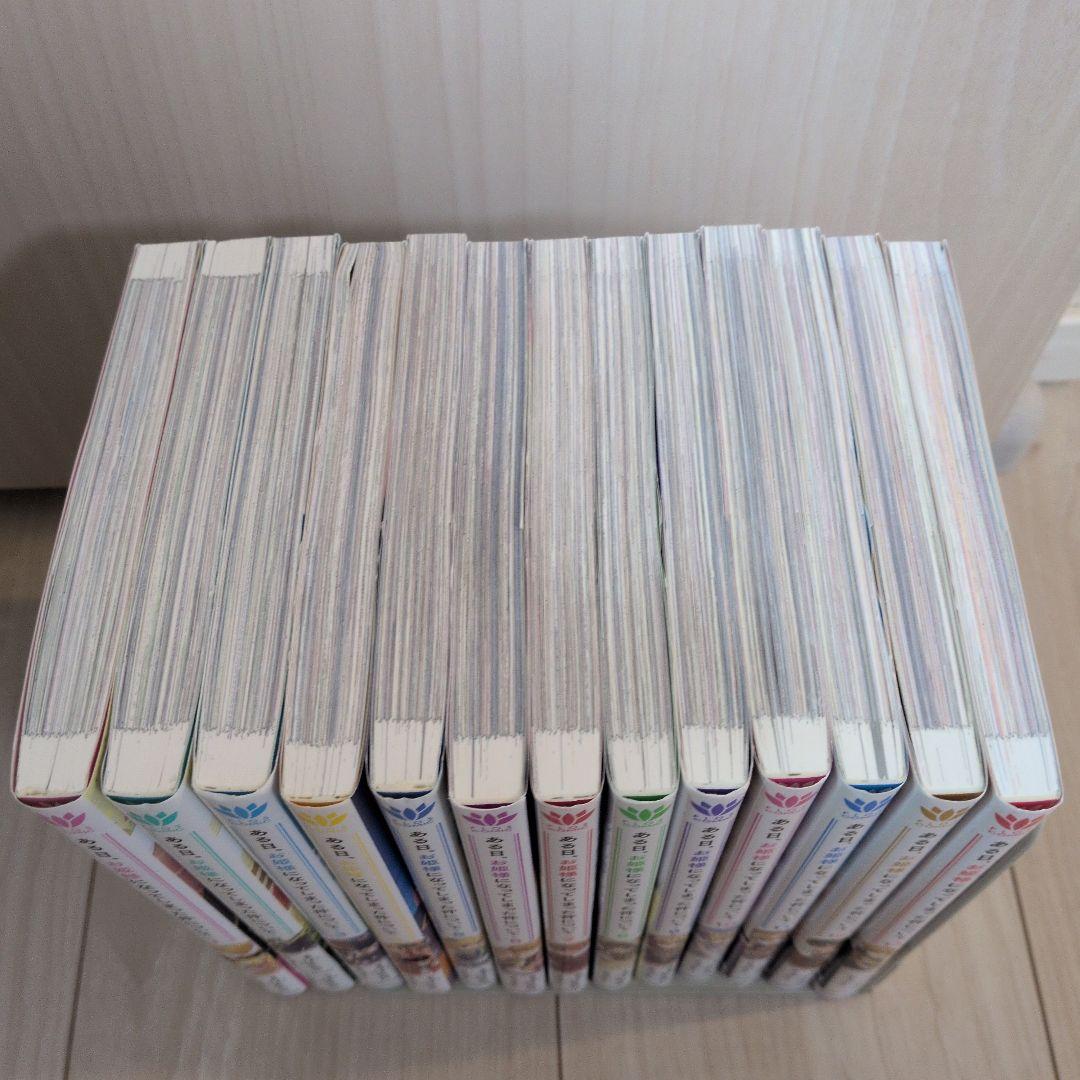 ある日、お姫様になってしまった件について 13