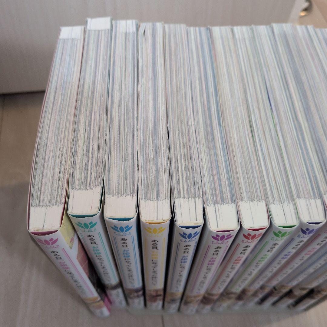 ある日、お姫様になってしまった件について 13